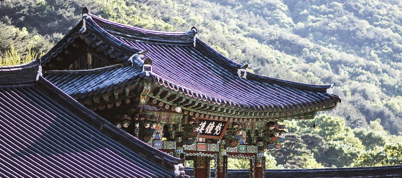 밀양에서의 잊지 못할 캠핑 경험: 물안개 오토캠핑장 밀양에서의 잊지 못할 캠핑 경험: 물안개 오토캠핑장