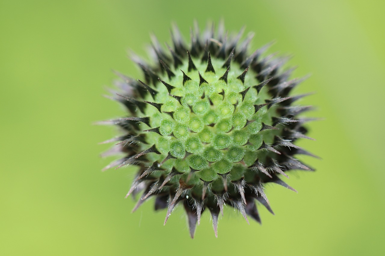 건강보험임플란트, 이제는 두려움 없이 도전하세요! 건강보험임플란트, 이제는 두려움 없이 도전하세요!