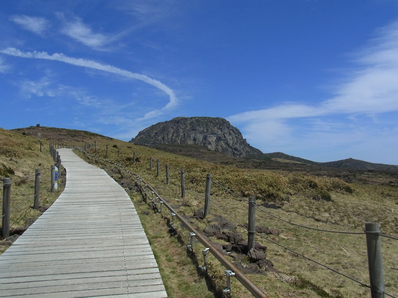 신한생명 무료운세: 나의 운명은 무엇인가요?