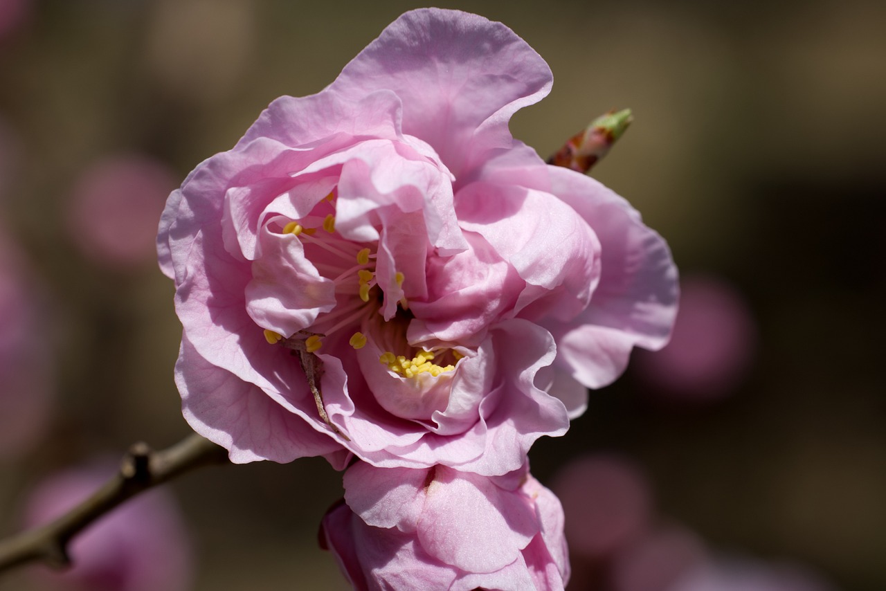 국민취업지원제도 구직촉진수당 완벽 가이드: 신청방법, 지급대상 전부 알려드려요 국민취업지원제도 구직촉진수당 완벽 가이드: 신청방법, 지급대상 전부 알려드려요