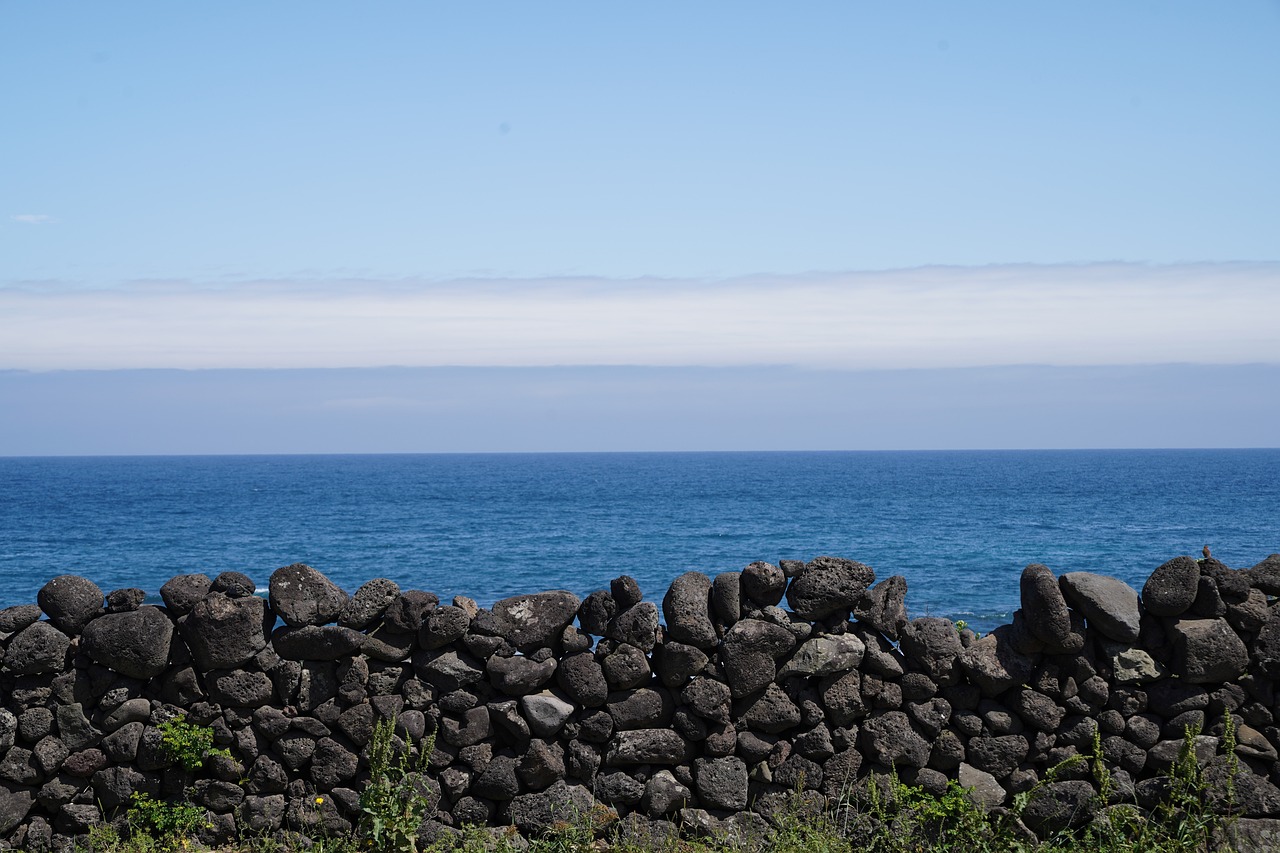 제주도 비 오는 날에도 즐길 수 있는 실내 명소 제주도 비 오는 날에도 즐길 수 있는 실내 명소