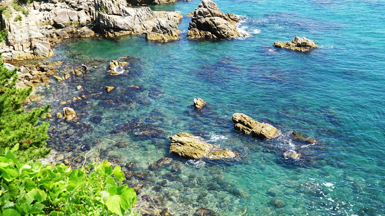 제주 동쪽의 Hidden Gem: 애견동반 가능한 독채 펜션과 멋진 카페를 만나다 제주 동쪽의 Hidden Gem: 애견동반 가능한 독채 펜션과 멋진 카페를 만나다