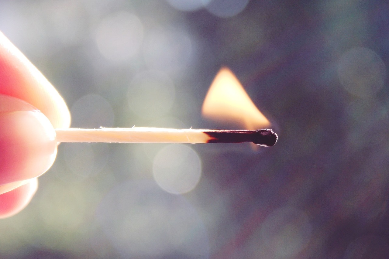 화상 물집, 그들의 치료와 관리: 베스티안에서의 올바른 정보 화상 물집, 그들의 치료와 관리: 베스티안에서의 올바른 정보