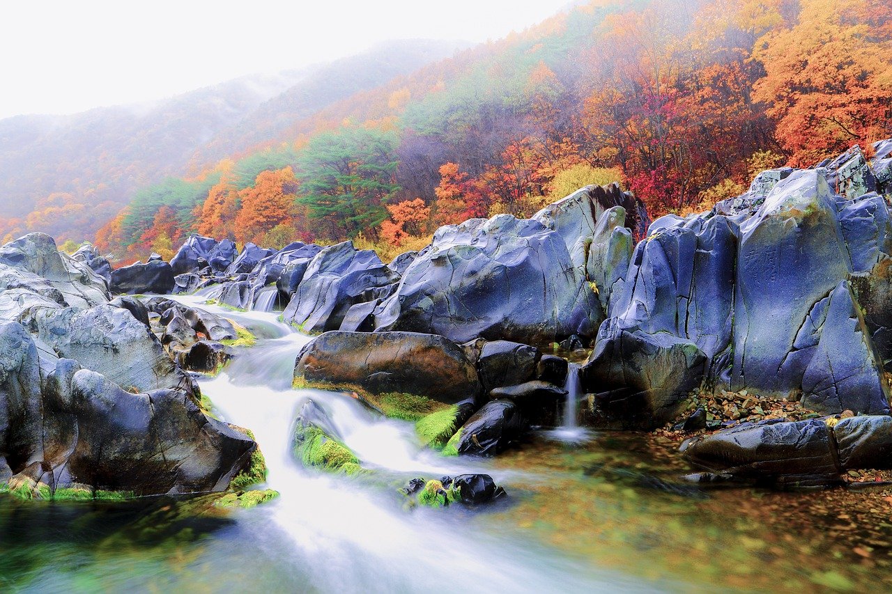 구미 성주골 돼지국밥: 맛과 정이 공존하는 한끼