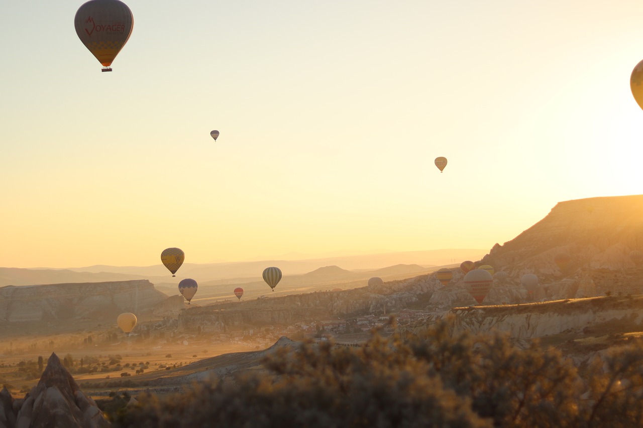 가을, 양파모종 이식을 통해 느낀 성취감과 희망 가을, 양파모종 이식을 통해 느낀 성취감과 희망