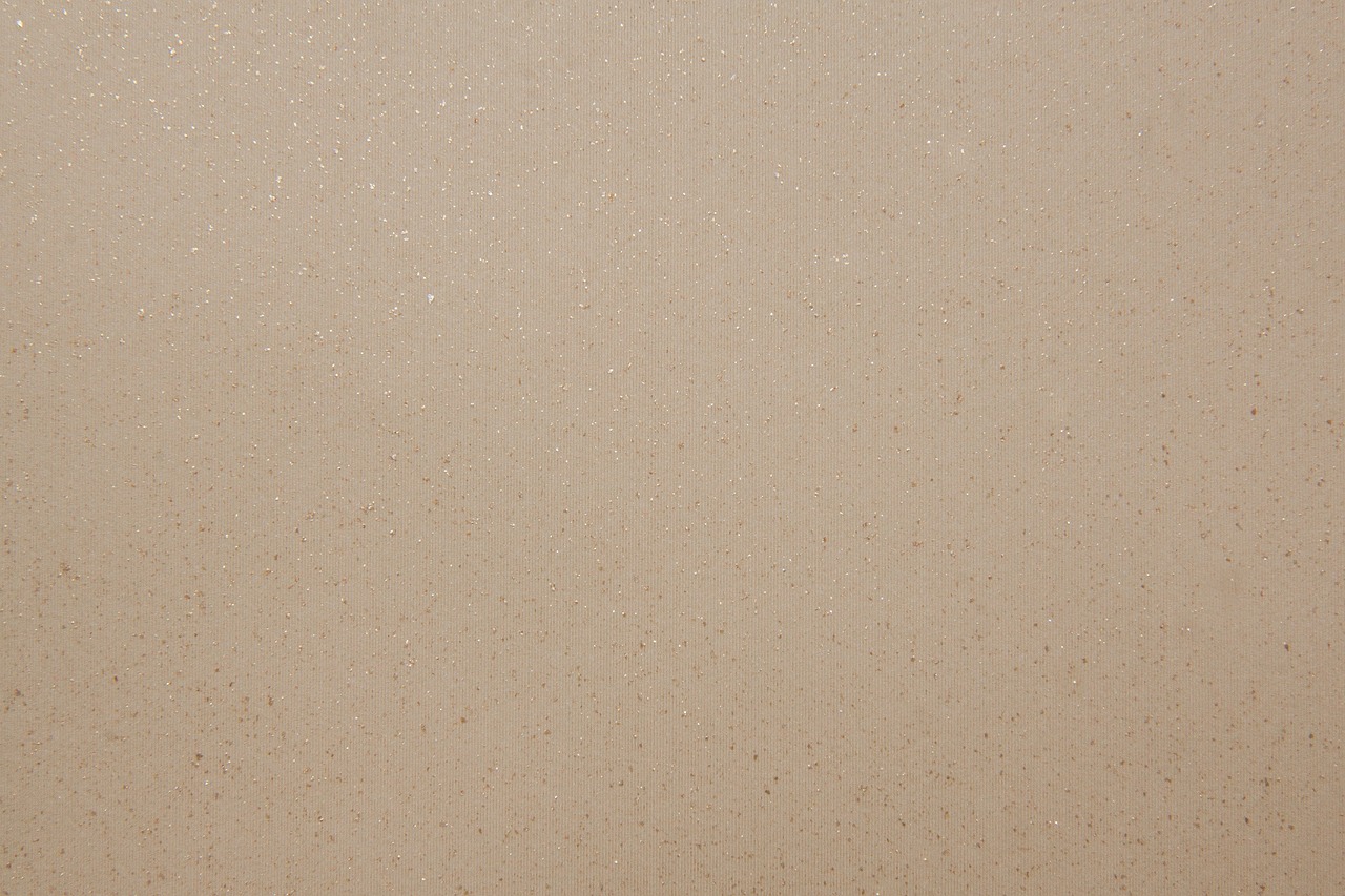 매일매일 여행의 즐거움, 설 명절 특별 교통 안내