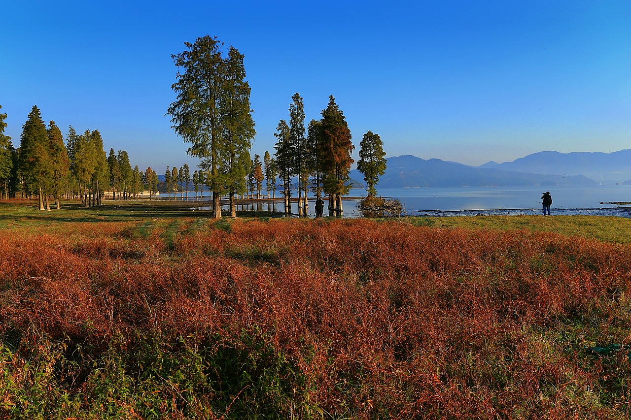 무조건 알아야 할 취득세 계산기, 간편하게 사용해보세요 무조건 알아야 할 취득세 계산기, 간편하게 사용해보세요