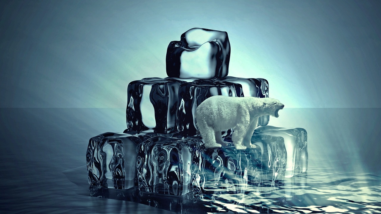 체형 교정의 기적, 망우역 피티와 함께한 변화 이야기 체형 교정의 기적, 망우역 피티와 함께한 변화 이야기