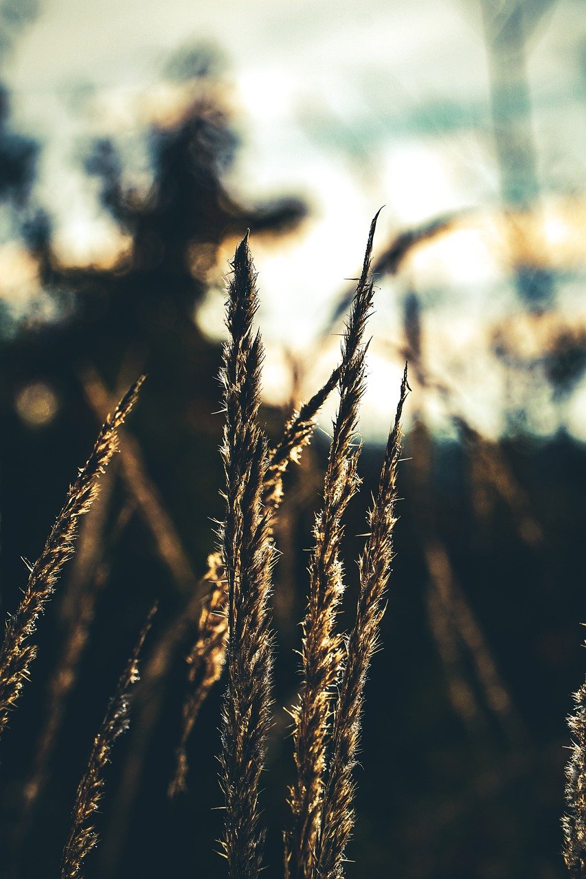 메리츠화재 실비보험 청구를 위한 모든 것: 보험금 청구 방법과 필수 서류를 한눈에!