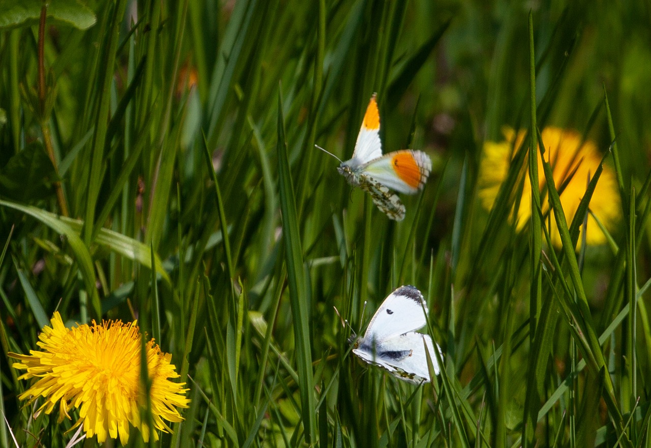 연말정산 간소화서비스 절차 및 환급을 극대화하는 비법