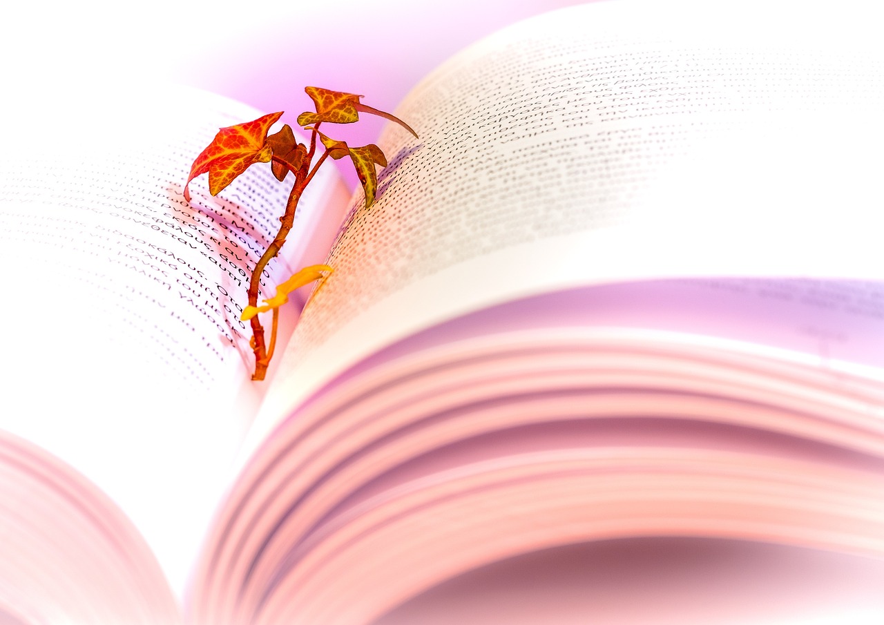 2023 크리스마스, 더현대 여의도 백화점에서 특별한 예약 경험하기 2023 크리스마스, 더현대 여의도 백화점에서 특별한 예약 경험하기