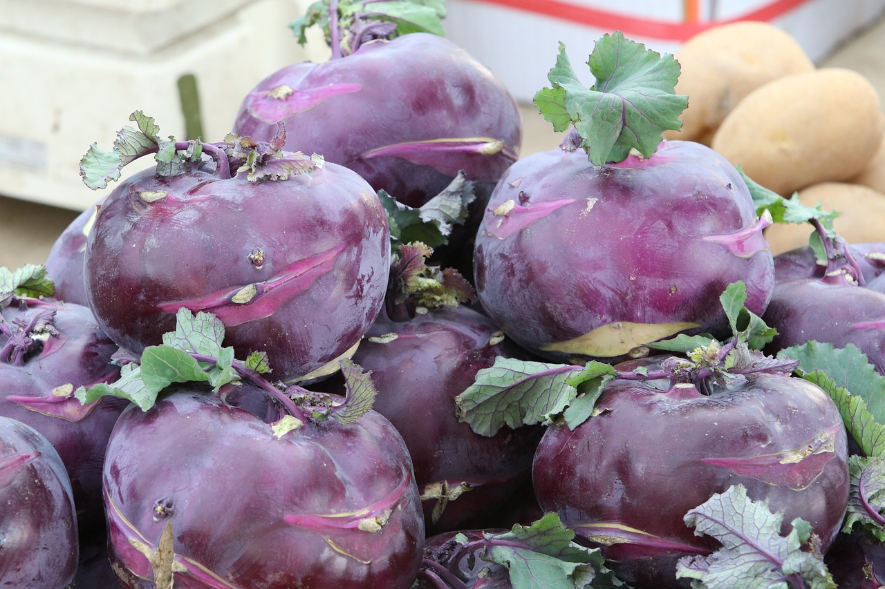 전국 장날 정보, 구수한 전통시장을 경험해보세요! 전국 장날 정보, 구수한 전통시장을 경험해보세요!