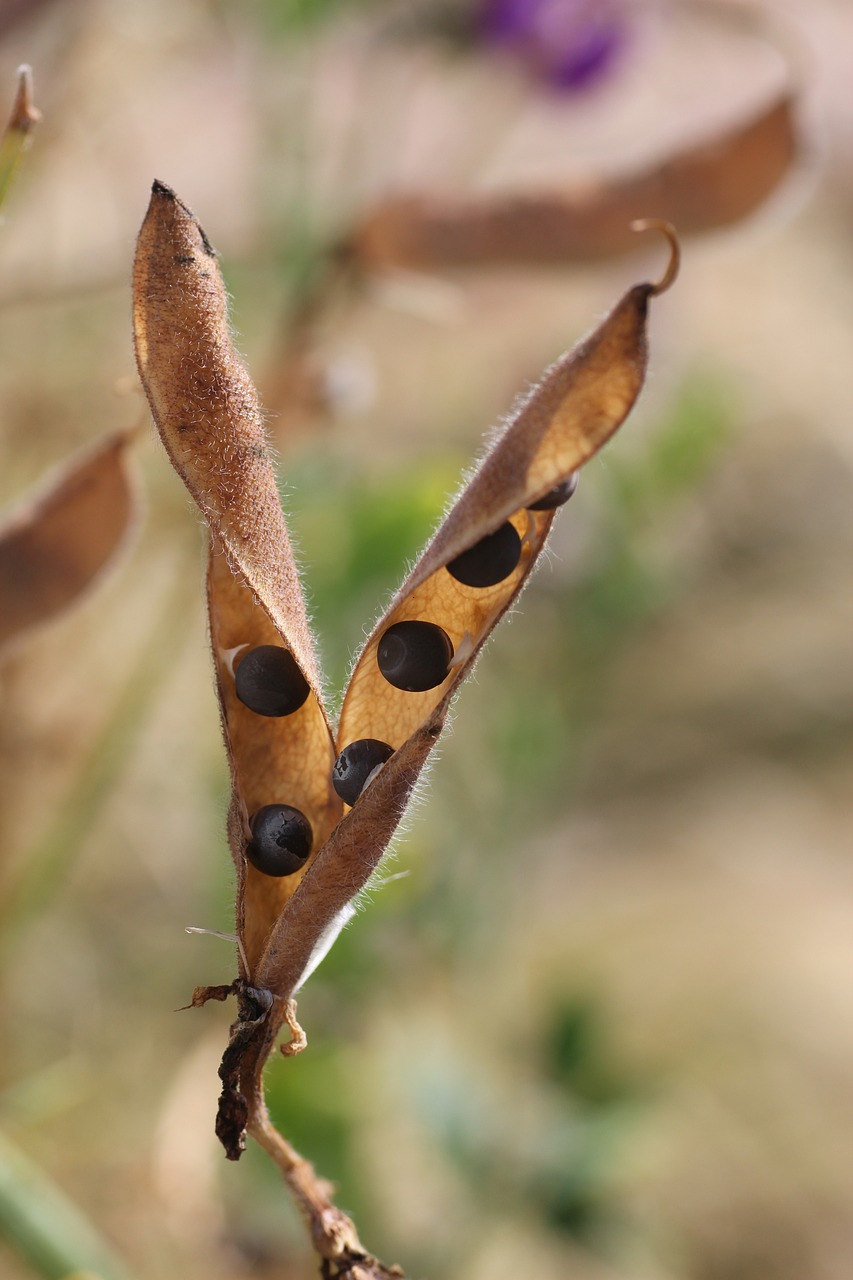 대신저축은행에서 쉽게 이용할 수 있는 대출! 아르바이트도 가능해요! 대신저축은행에서 쉽게 이용할 수 있는 대출! 아르바이트도 가능해요!