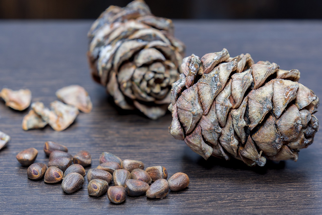 카카오페이 모바일 교통카드 사용법 완벽 가이드