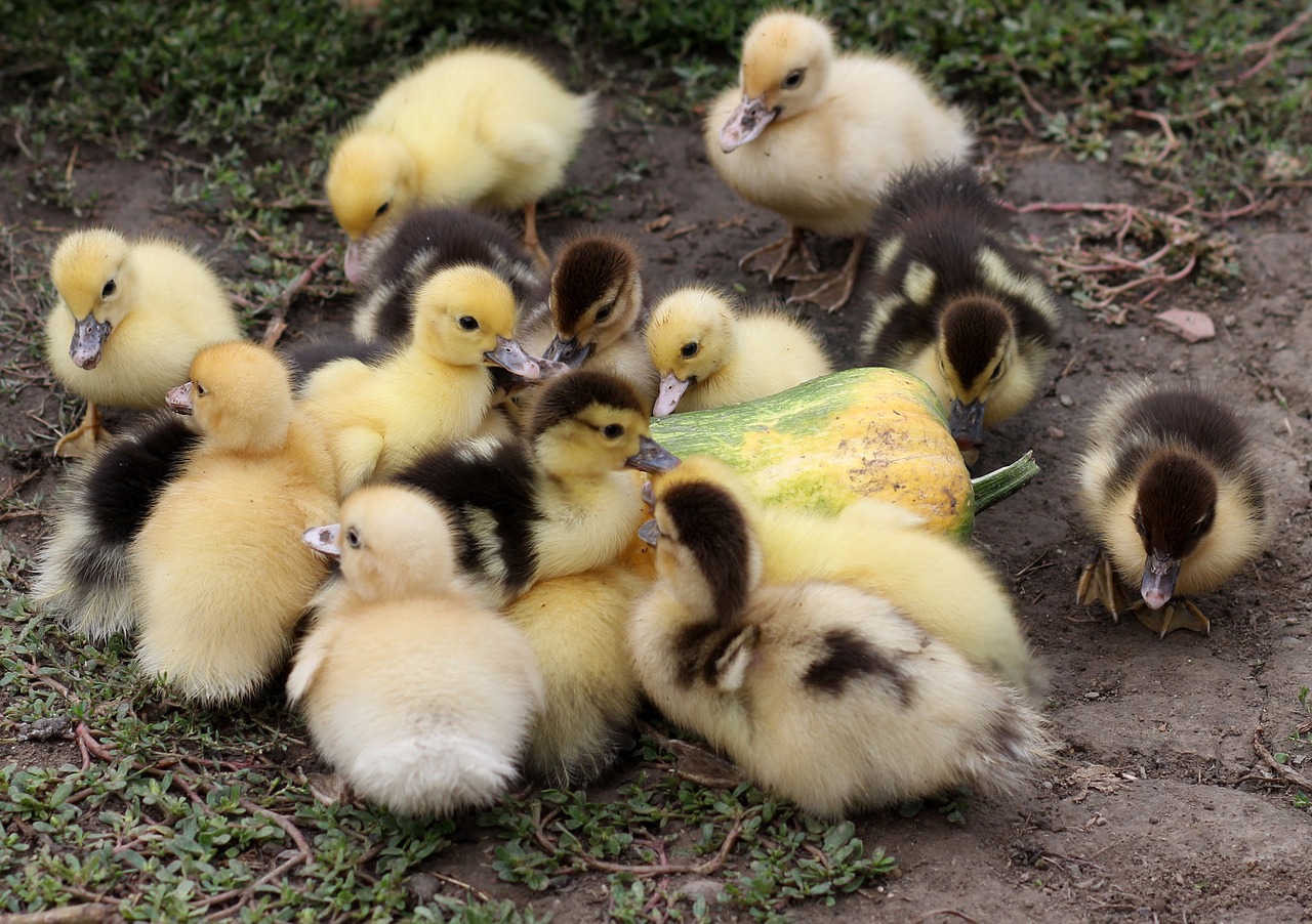 대학생이 알아야 할 신용카드 발급조건과 관리 방법 대학생이 알아야 할 신용카드 발급조건과 관리 방법
