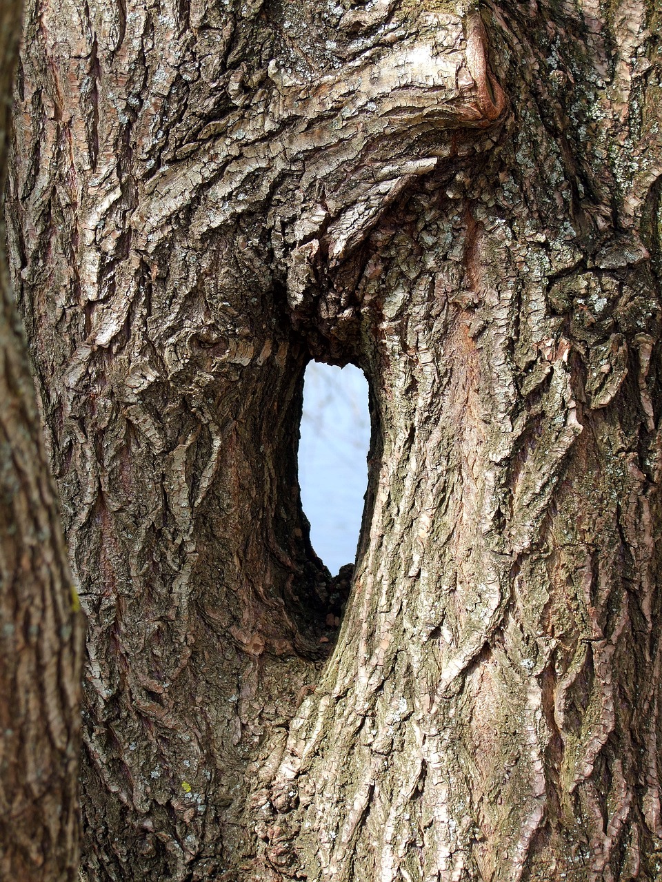 임신과 미숙아: 강한 생명력, 아기의 이야기 임신과 미숙아: 강한 생명력, 아기의 이야기