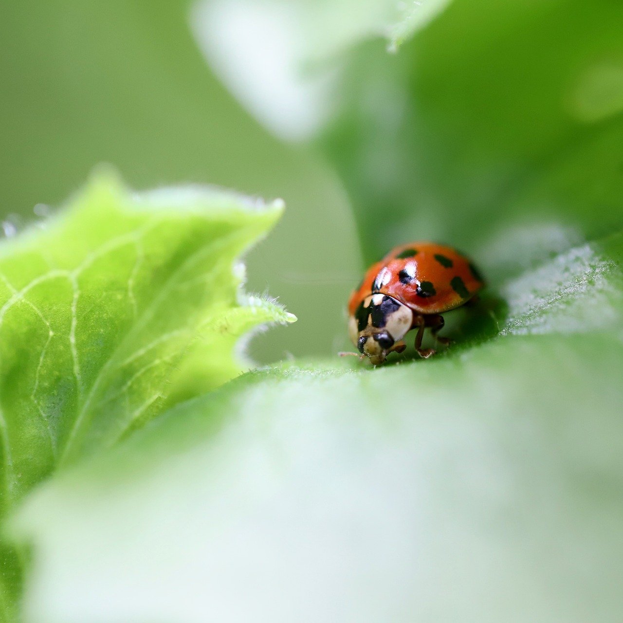 유튜브 음원 변환, 이제는 쉽게! 유튜브 음원 변환, 이제는 쉽게!