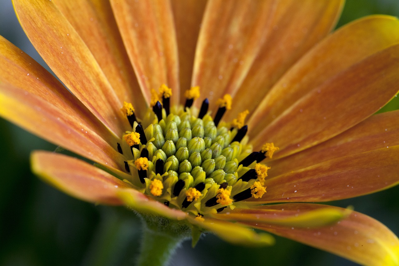 자영업자대출, 세람저축은행의 일반신용대출로 자금을 확보하세요! 자영업자대출, 세람저축은행의 일반신용대출로 자금을 확보하세요!