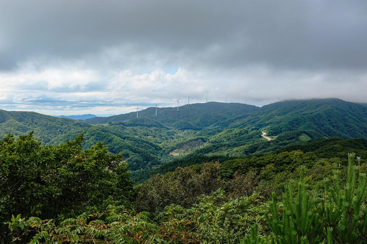 5월 14일, 춘천 삼악산에서의 특별한 산행