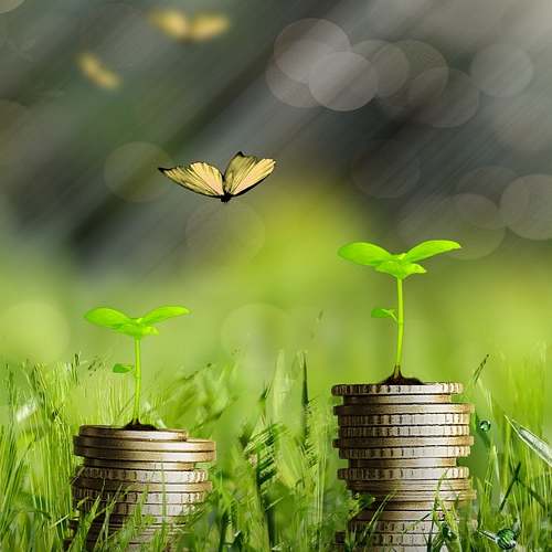 놀라운 고혼진 기미크림: 가격과 판매처, 그리고 매장이 없는 이유 놀라운 고혼진 기미크림: 가격과 판매처, 그리고 매장이 없는 이유