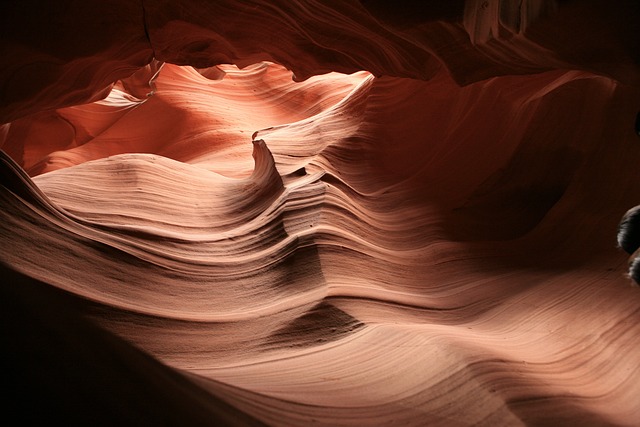 구미시, 봄철 산불 예방을 위한 따뜻한 마음 모으다 구미시, 봄철 산불 예방을 위한 따뜻한 마음 모으다