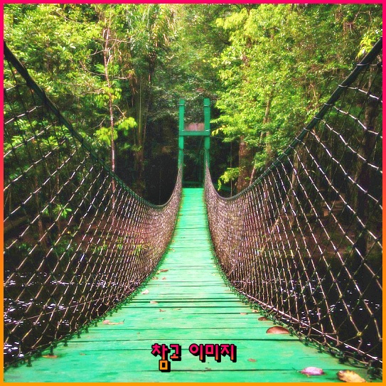 MG손해보험 파산 소식, 124만 계약자들의 미래는? MG손해보험 파산 소식, 124만 계약자들의 미래는?