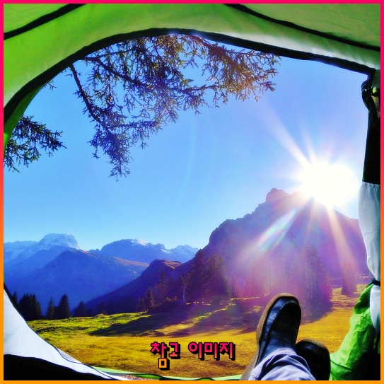 곱창, 막창, 대창! 당신의 입맛을 사로잡는 매력의 삼총사 곱창, 막창, 대창! 당신의 입맛을 사로잡는 매력의 삼총사