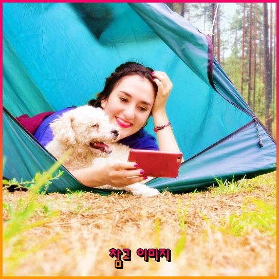 차상위계층 기준의 변화와 온라인 신청 방법을 알아보세요! 차상위계층 기준의 변화와 온라인 신청 방법을 알아보세요!