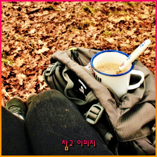 LG 트윈스 티켓 예매, 야구 팬들을 위한 특별한 꿀팁! LG 트윈스 티켓 예매, 야구 팬들을 위한 특별한 꿀팁!