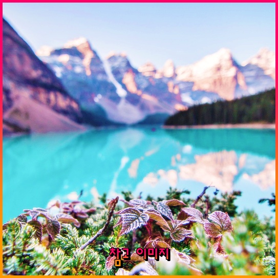 직장인 연봉 협상: 당신의 가치를 인정받기 위한 완벽 가이드 직장인 연봉 협상: 당신의 가치를 인정받기 위한 완벽 가이드