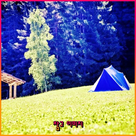 2025년 창업의 꿈! 신사업창업사관학교의 문을 두드려보세요 2025년 창업의 꿈! 신사업창업사관학교의 문을 두드려보세요