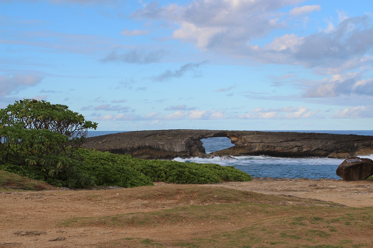 이직의 성공을 좌우하는 연봉협상 비법 공개 이직의 성공을 좌우하는 연봉협상 비법 공개