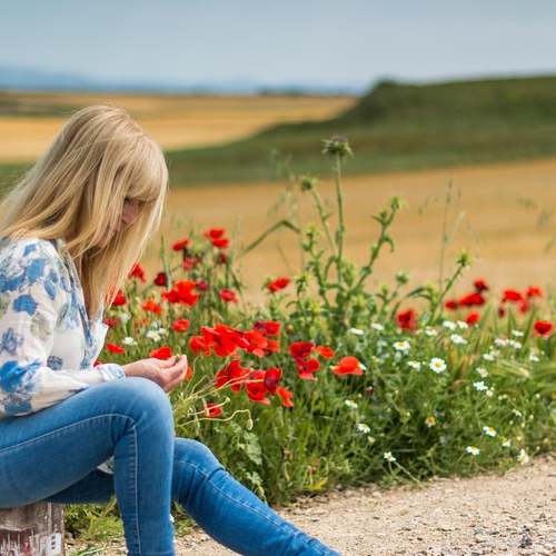 원룸 및 오피스텔 인터넷, 관리를 포함한 요금제 vs 별도 가입, 무엇이 더 나을까?