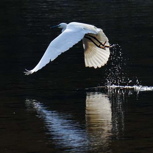 소득이 줄어든 여러분을 위한 건강보험료 조정 신청 가이드 소득이 줄어든 여러분을 위한 건강보험료 조정 신청 가이드