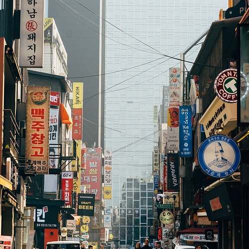 가을밤의 매력! 창경궁 야간개장과 달빛기행이 있는 풍경 가을밤의 매력! 창경궁 야간개장과 달빛기행이 있는 풍경