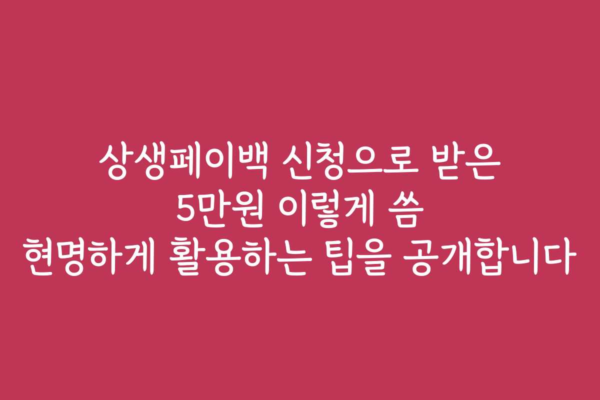 상생페이백 신청으로 받은 5만원 이렇게 씀 현명하게 활용하는 팁을 공개합니다 상생페이백 신청으로 받은 5만원 이렇게 씀 현명하게 활용하는 팁을 공개합니다
