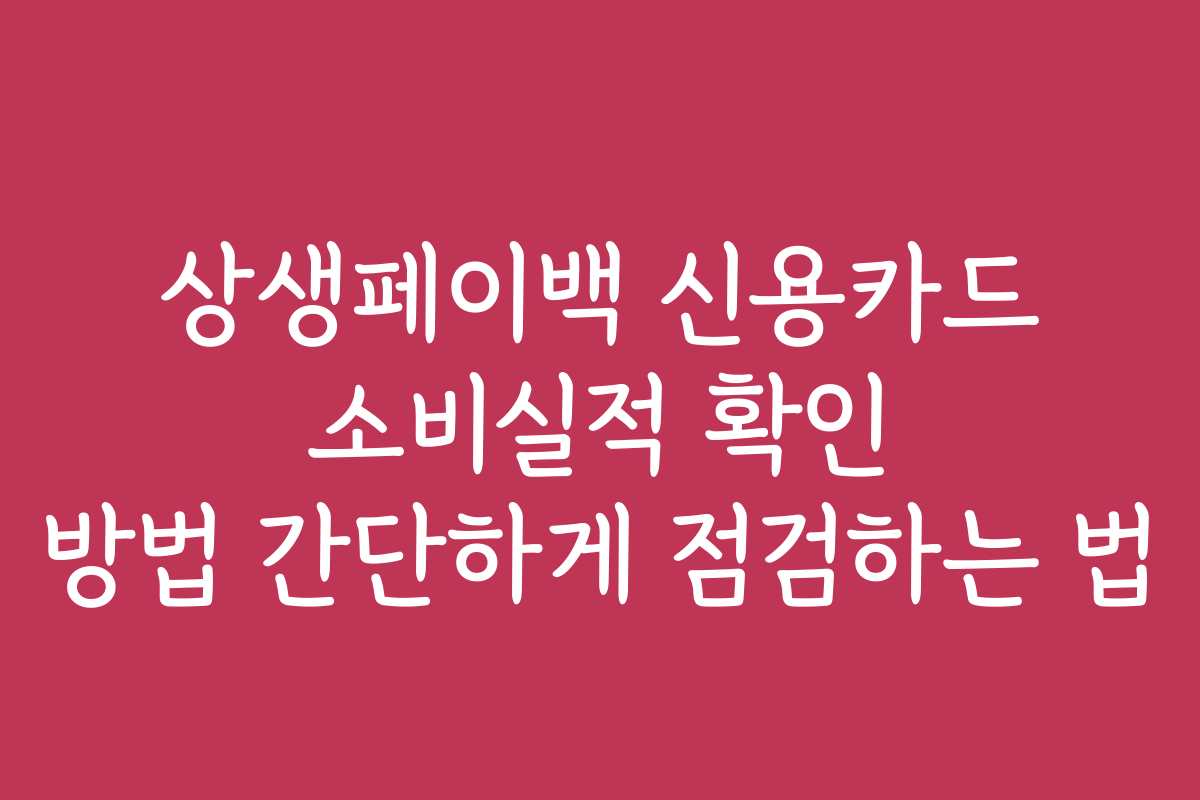상생페이백 신용카드 소비실적 확인 방법 간단하게 점검하는 법 상생페이백 신용카드 소비실적 확인 방법 간단하게 점검하는 법