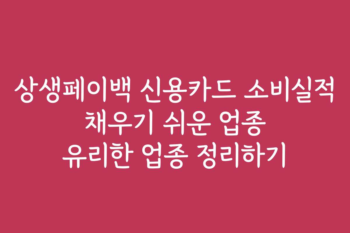상생페이백 신용카드 소비실적 채우기 쉬운 업종 유리한 업종 정리하기 상생페이백 신용카드 소비실적 채우기 쉬운 업종 유리한 업종 정리하기