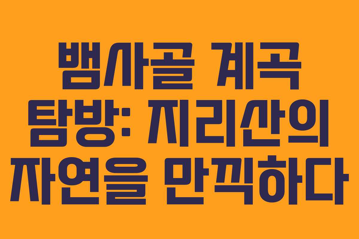 뱀사골 계곡 탐방: 지리산의 자연을 만끽하다