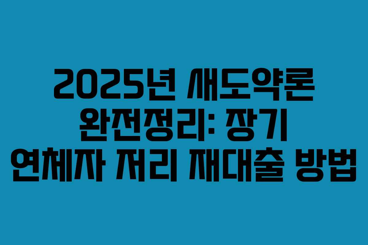 2025년 새도약론 완전정리: 장기 연체자 저리 재대출 방법