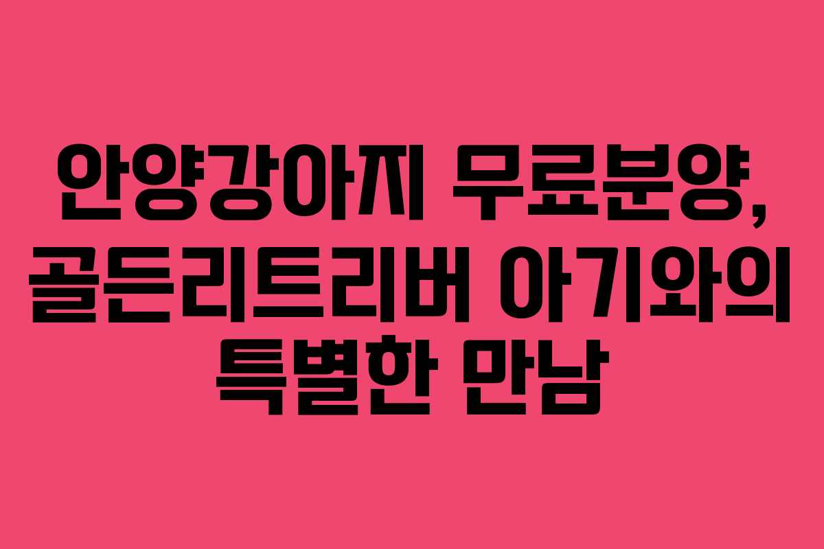 안양강아지 무료분양, 골든리트리버 아기와의 특별한 만남