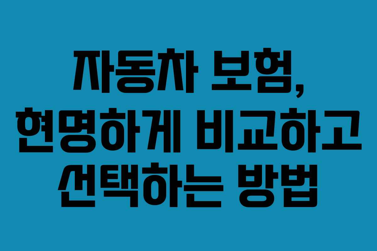 자동차 보험, 현명하게 비교하고 선택하는 방법