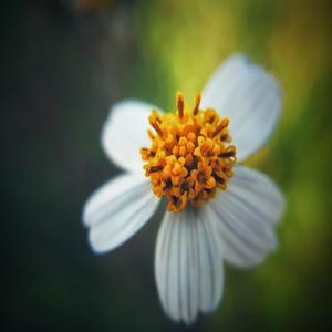 대퇴골 부실로 인한 증상과 치료방법