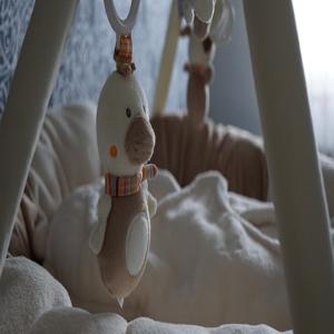 임신 초기 중절약