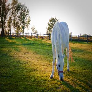 국민은행 직장인 신용대출 한도와 이자 비교
