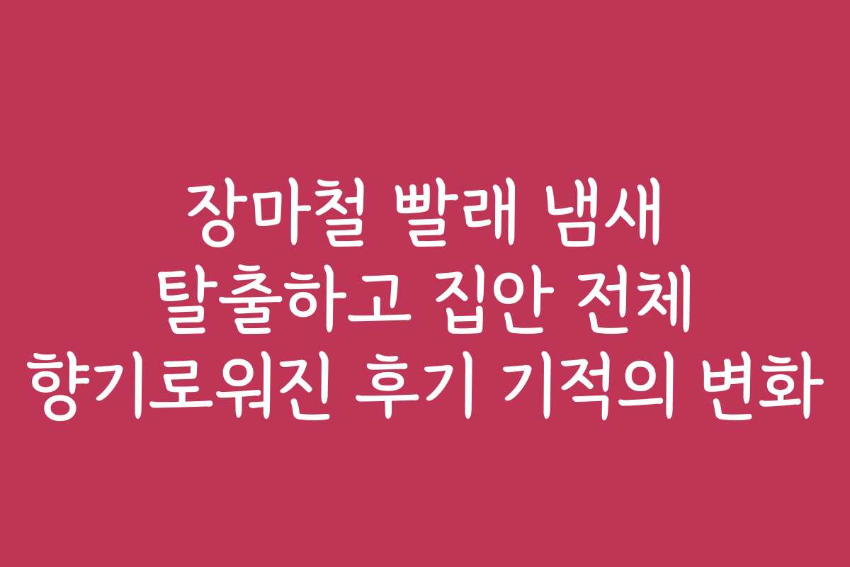 장마철 빨래 냄새 탈출하고 집안 전체 향기로워진 후기 기적의 변화