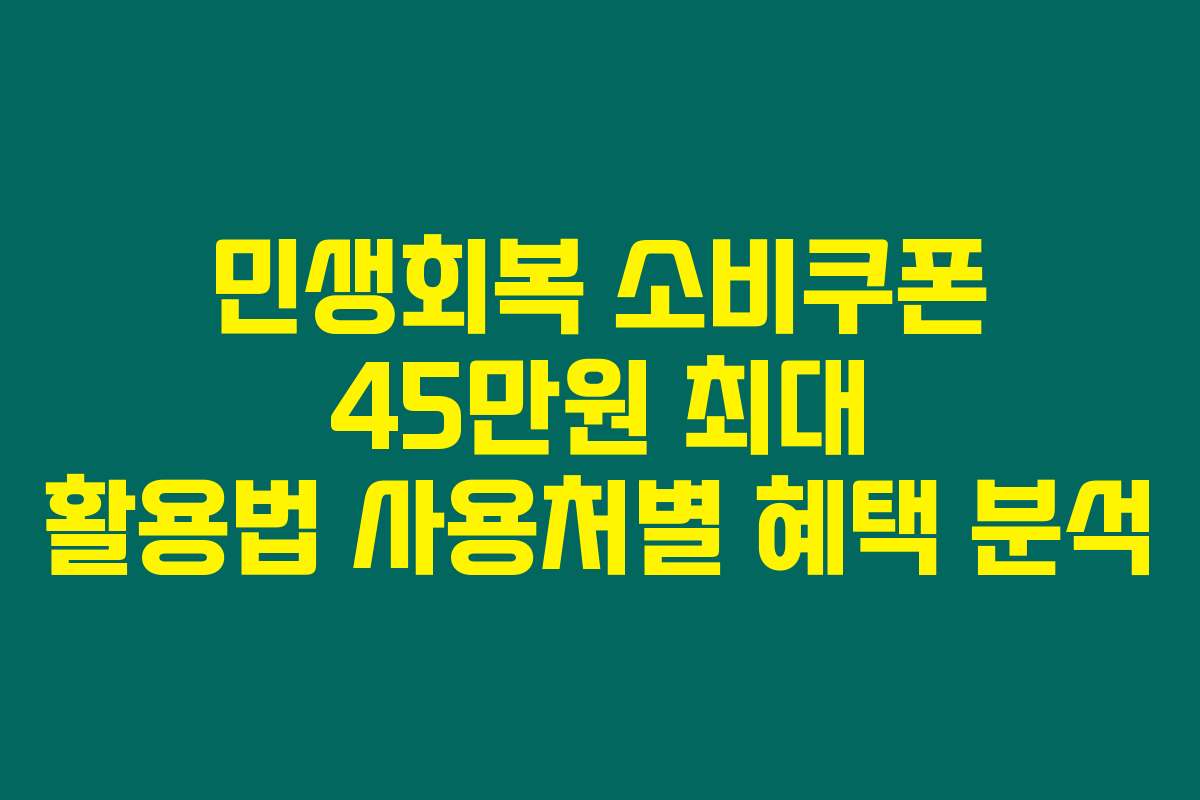 민생회복 소비쿠폰 45만원 최대 활용법 사용처별 혜택 분석