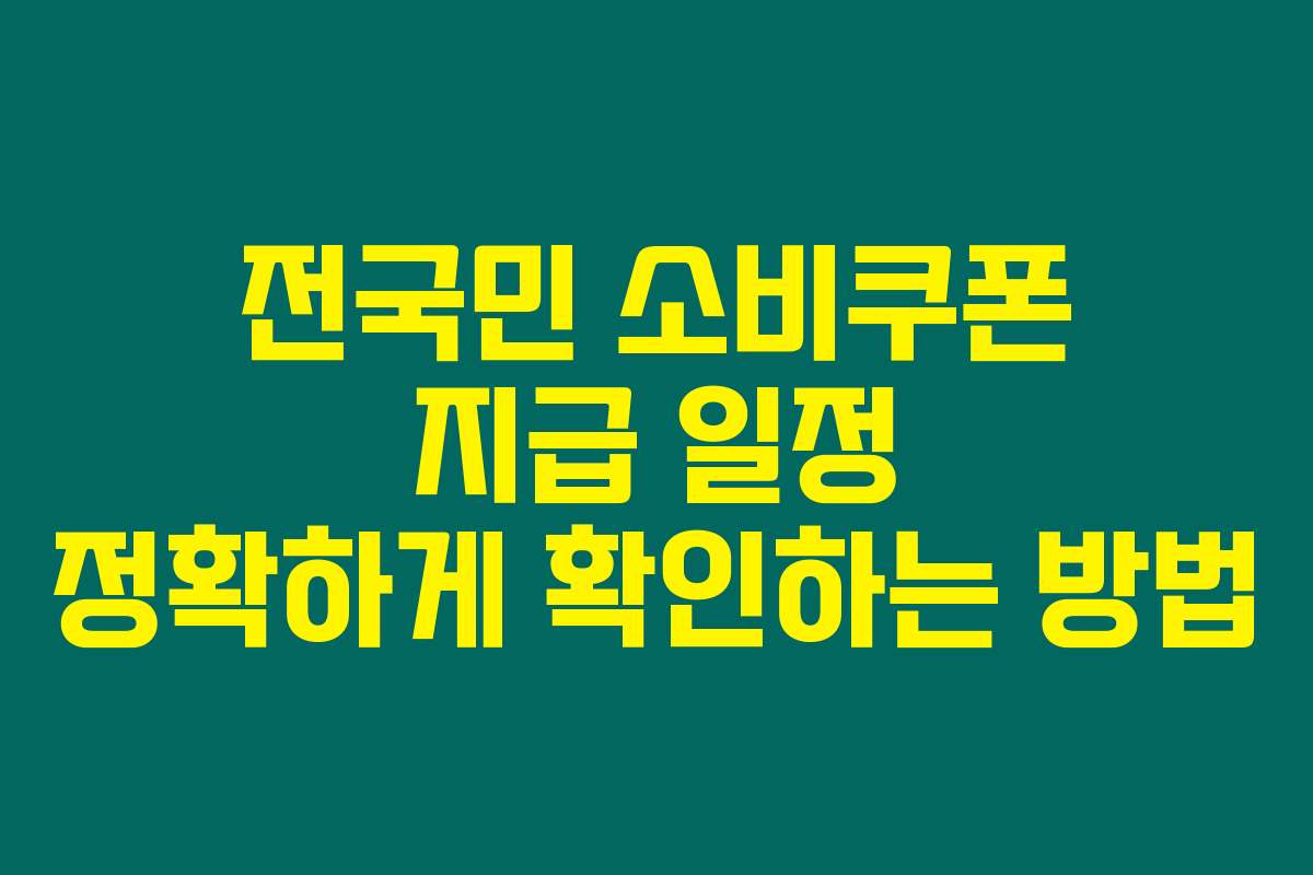 전국민 소비쿠폰 지급 일정 정확하게 확인하는 방법