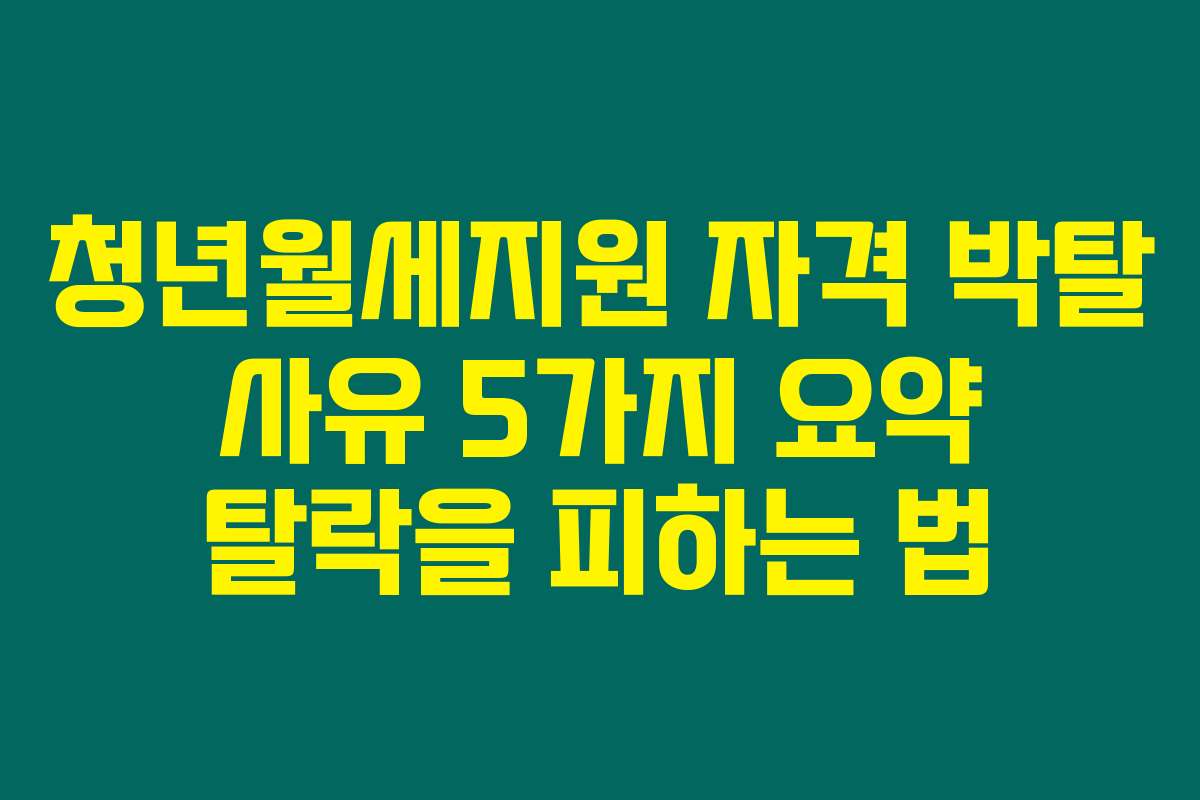 청년월세지원 자격 박탈 사유 5가지 요약 탈락을 피하는 법