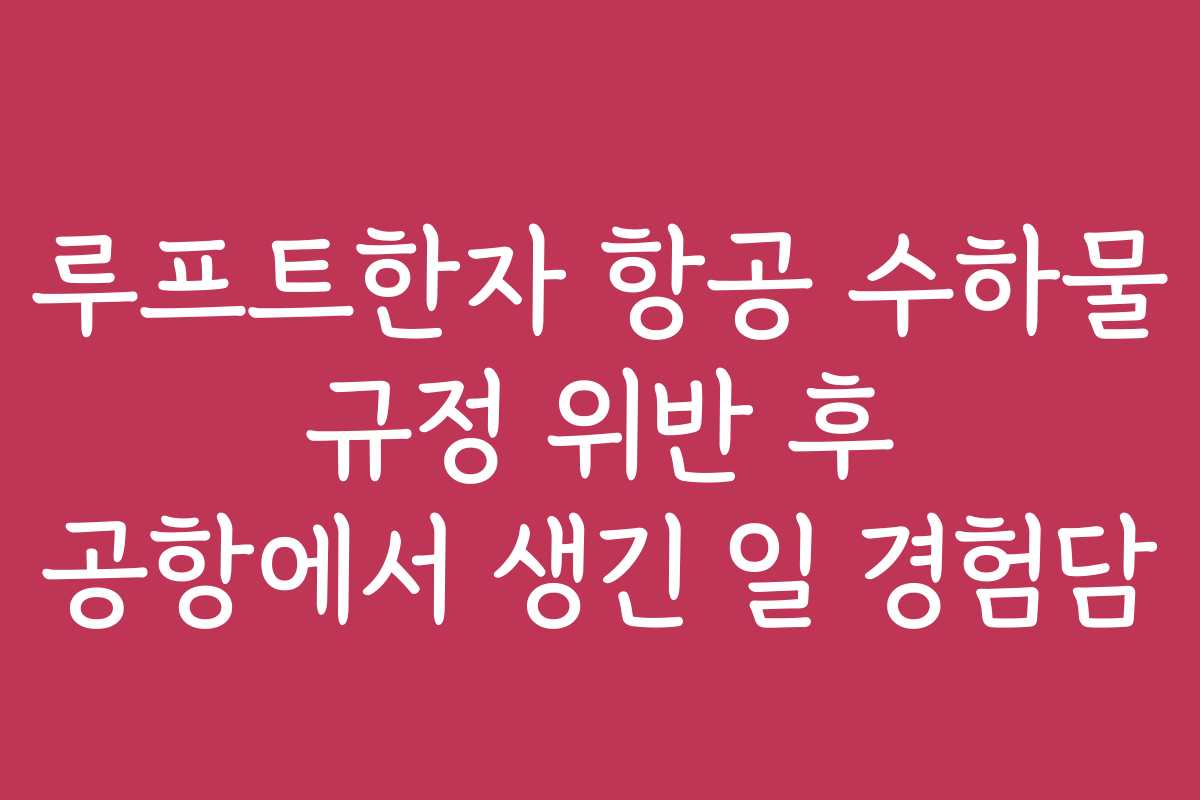 루프트한자 항공 수하물 규정 위반 후 공항에서 생긴 일 경험담